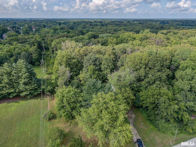 303 E S St, Mulberry Grove, IL 62282 - photo 33