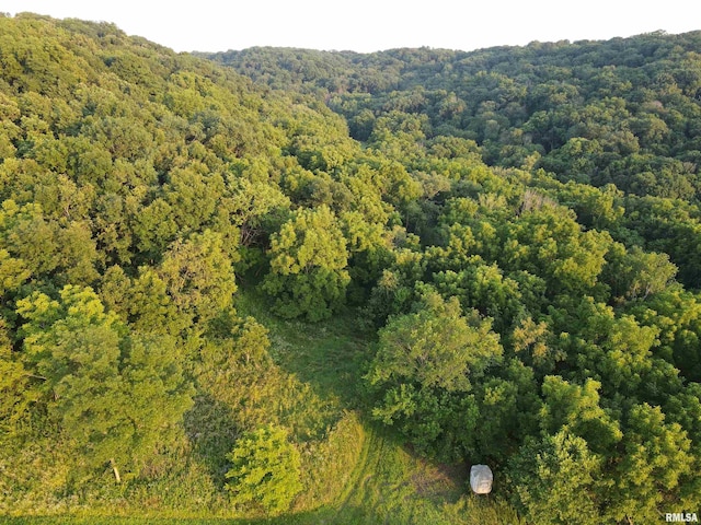 000 W Steele Rd, Hanover, IL 61041