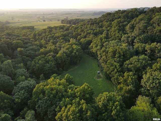 000 W Steele Rd, Hanover, IL 61041
