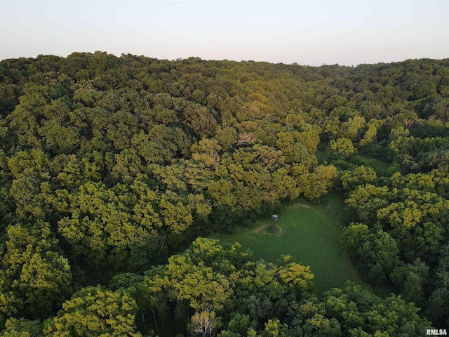 000 W Steele Rd, Hanover, IL 61041