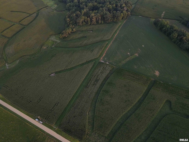 000 W Steele Rd, Hanover, IL 61041