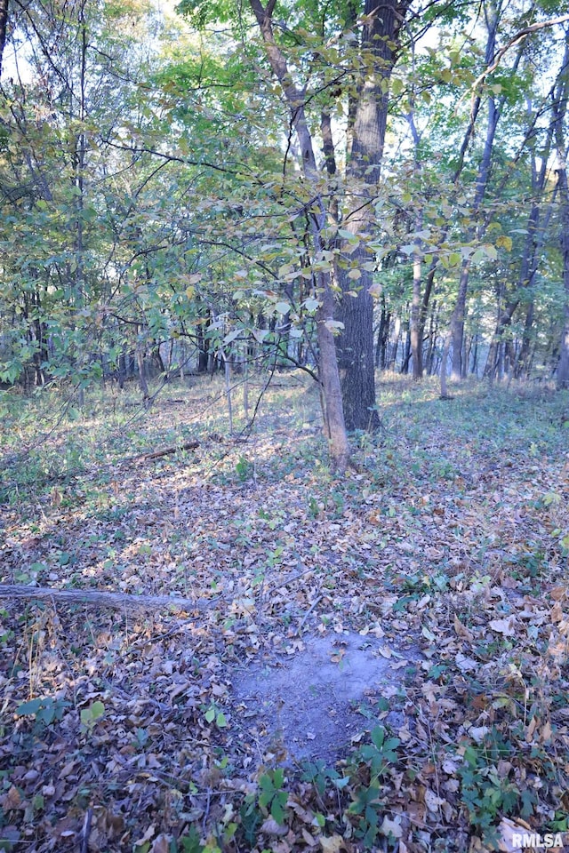 000 W Steele Rd, Hanover, IL 61041
