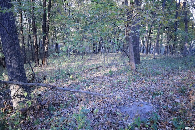 000 W Steele Rd, Hanover, IL 61041