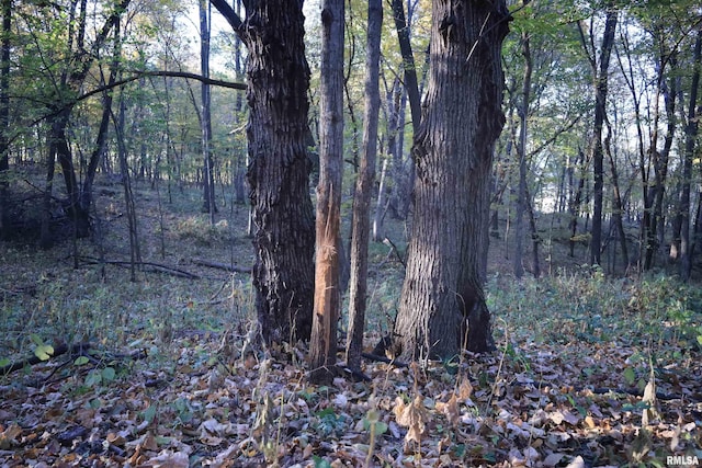 000 W Steele Rd, Hanover, IL 61041