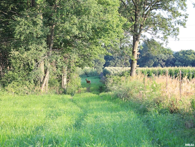 000 W Steele Rd, Hanover, IL 61041