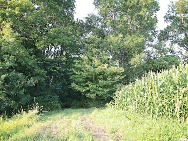 000 W Steele Rd, Hanover, IL 61041