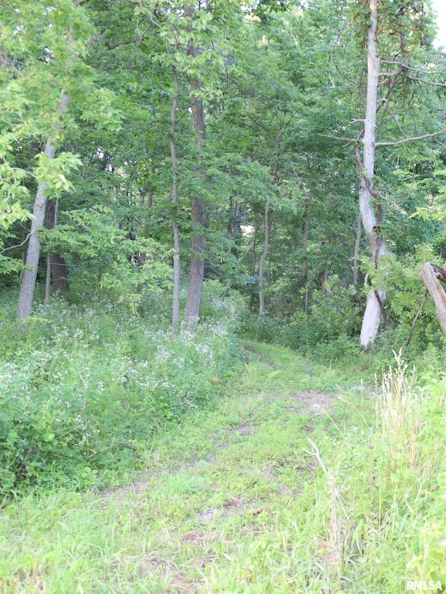 000 W Steele Rd, Hanover, IL 61041