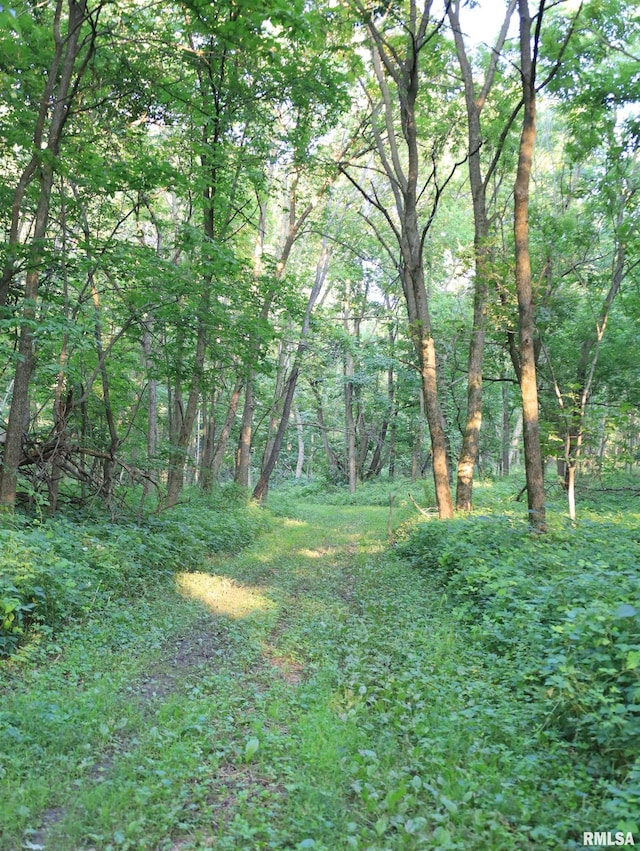 000 W Steele Rd, Hanover, IL 61041