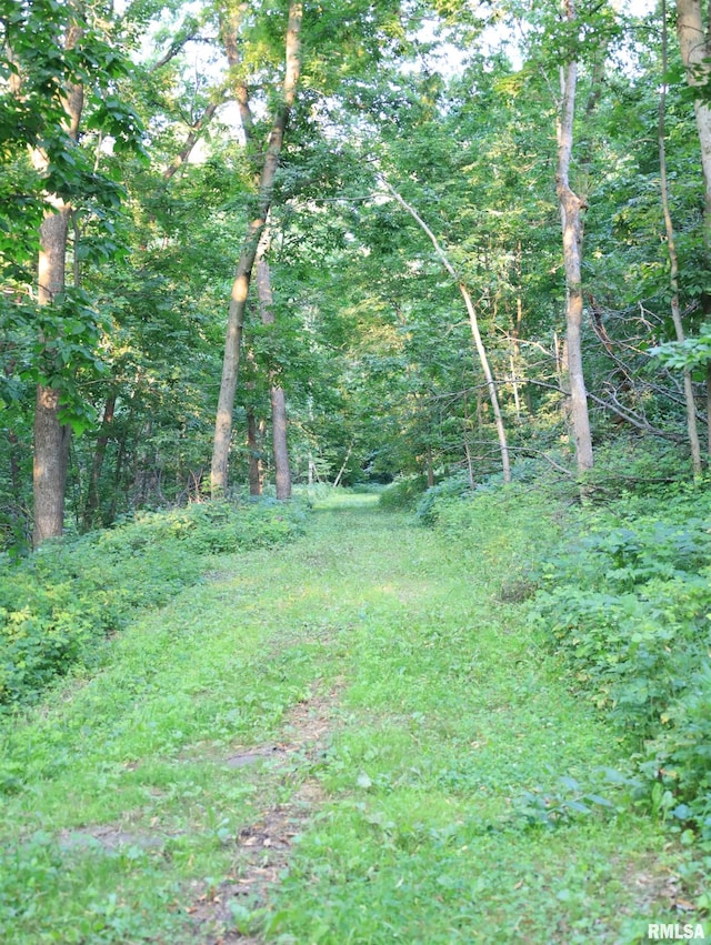 000 W Steele Rd, Hanover, IL 61041