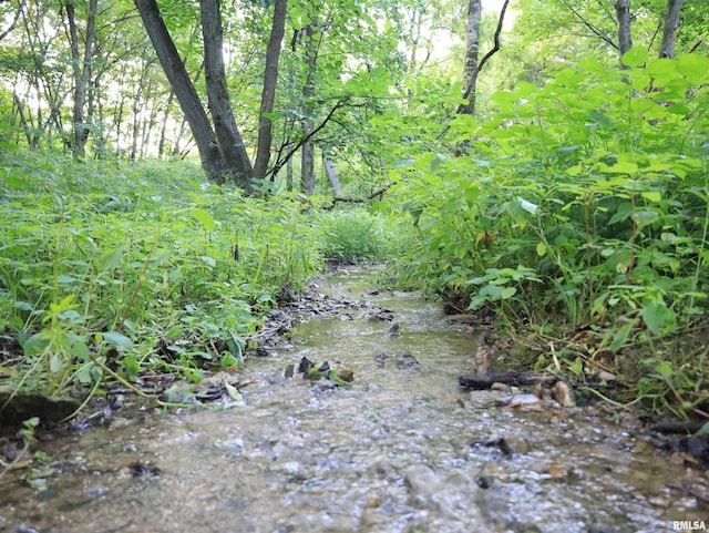 000 W Steele Rd, Hanover, IL 61041