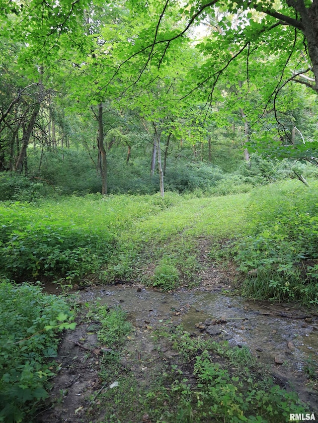 000 W Steele Rd, Hanover, IL 61041