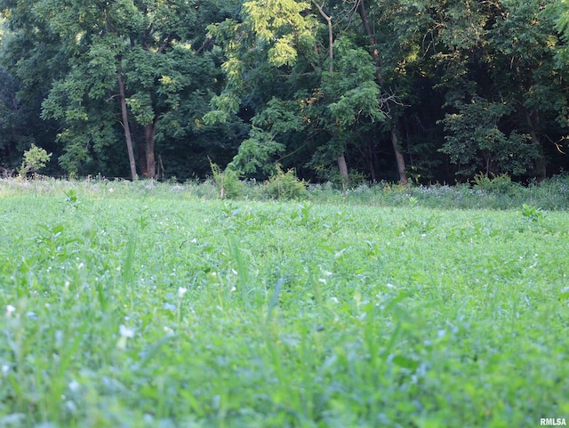 000 W Steele Rd, Hanover, IL 61041
