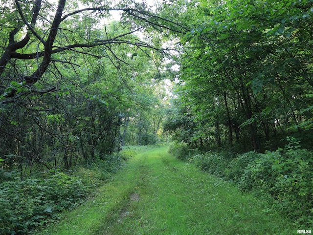 000 W Steele Rd, Hanover, IL 61041
