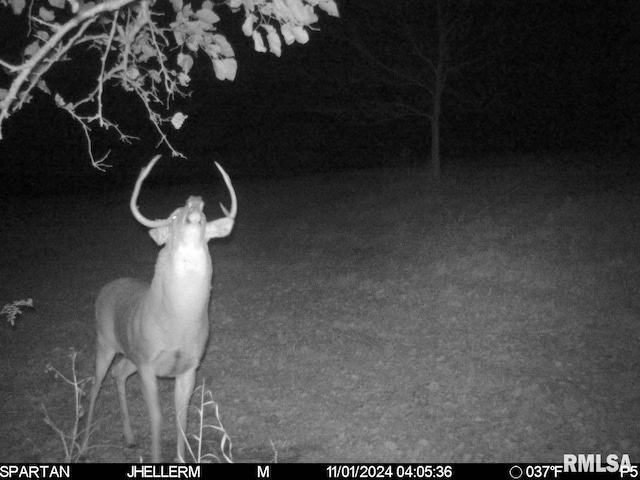 000 W Steele Rd, Hanover, IL 61041
