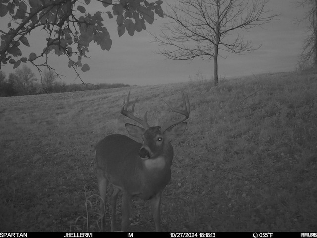 000 W Steele Rd, Hanover, IL 61041