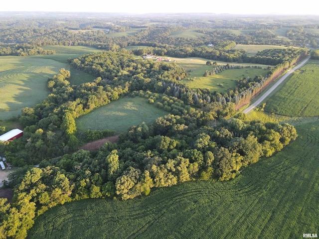 000 Scout Camp Rd, Stockton, IL 61085 - photo 13