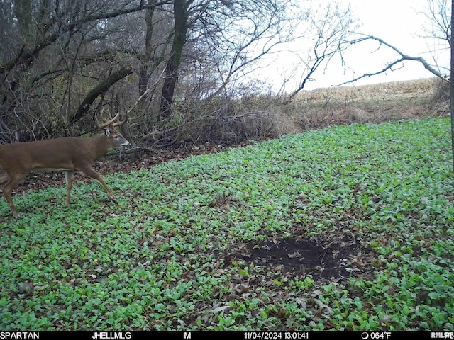 000 Scout Camp Rd, Stockton, IL 61085 - photo 20
