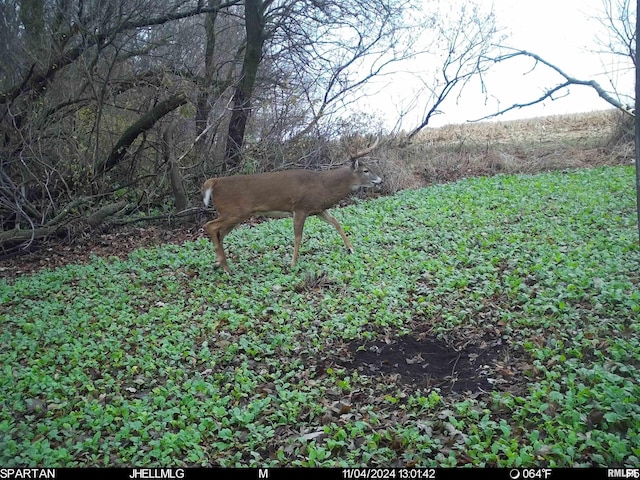 000 Scout Camp Rd, Stockton, IL 61085 - photo 21