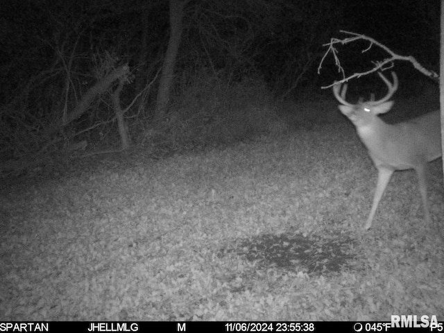 000 Scout Camp Rd, Stockton, IL 61085 - photo 23