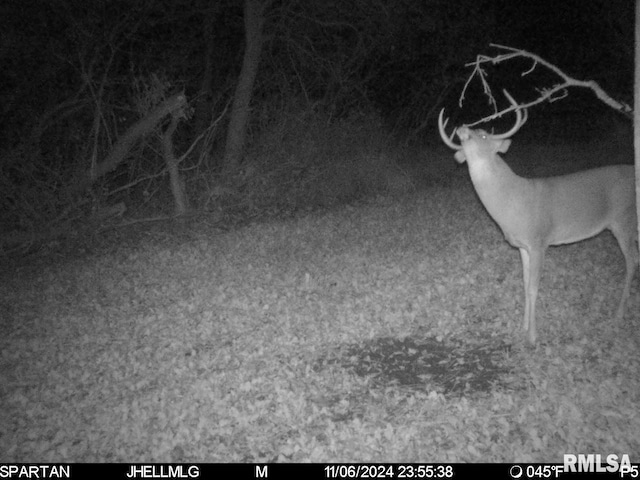 000 Scout Camp Rd, Stockton, IL 61085 - photo 24