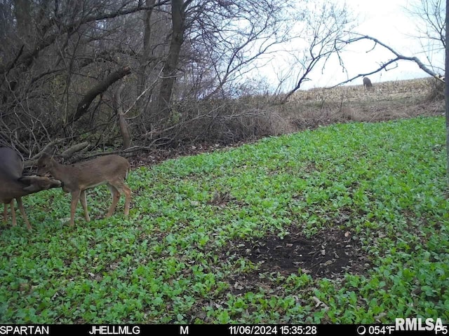 000 Scout Camp Rd, Stockton, IL 61085 - photo 25