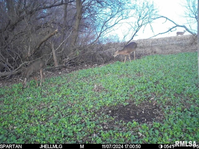 000 Scout Camp Rd, Stockton, IL 61085 - photo 26