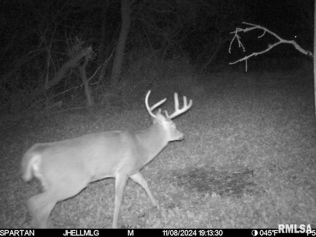 000 Scout Camp Rd, Stockton, IL 61085 - photo 27