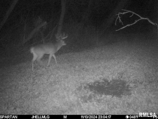 000 Scout Camp Rd, Stockton, IL 61085 - photo 28