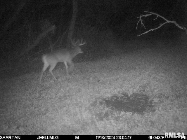 000 Scout Camp Rd, Stockton, IL 61085 - photo 29
