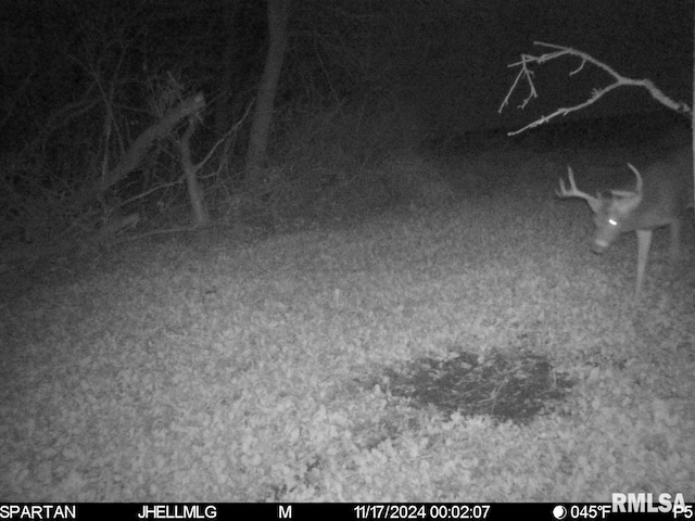 000 Scout Camp Rd, Stockton, IL 61085 - photo 30