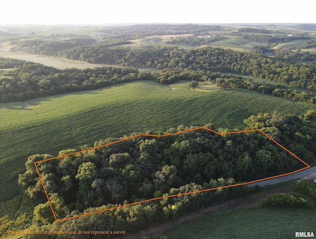 000 Scout Camp Rd, Stockton, IL 61085 - photo 4