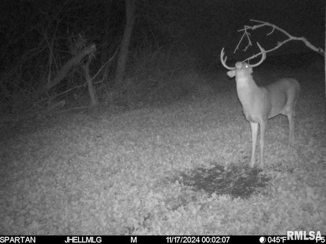 000 Scout Camp Rd, Stockton, IL 61085 - photo 31