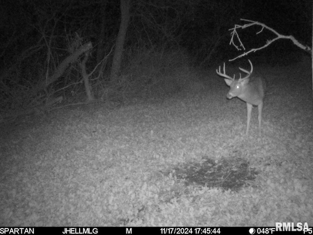 000 Scout Camp Rd, Stockton, IL 61085 - photo 32