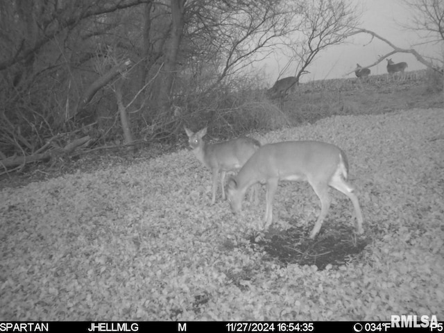 000 Scout Camp Rd, Stockton, IL 61085 - photo 33