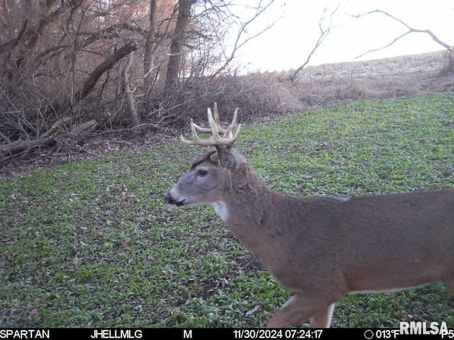 000 Scout Camp Rd, Stockton, IL 61085 - photo 34
