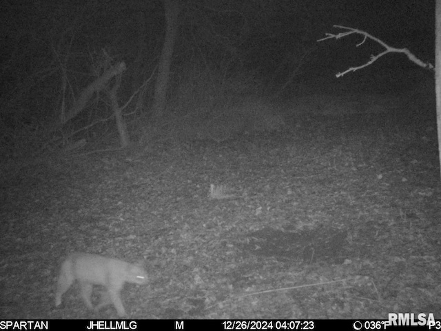 000 Scout Camp Rd, Stockton, IL 61085 - photo 35