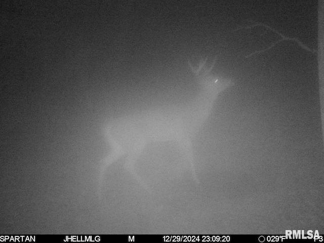 000 Scout Camp Rd, Stockton, IL 61085 - photo 36