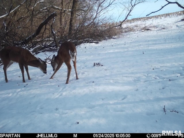 000 Scout Camp Rd, Stockton, IL 61085 - photo 37