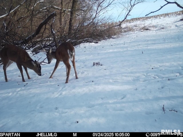 000 Scout Camp Rd, Stockton, IL 61085 - photo 38