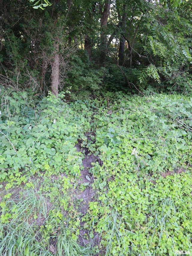 000 Scout Camp Rd, Stockton, IL 61085 - photo 39
