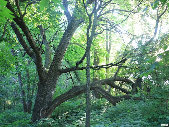 000 Scout Camp Rd, Stockton, IL 61085 - photo 40