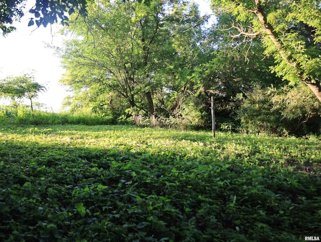 000 Scout Camp Rd, Stockton, IL 61085 - photo 41
