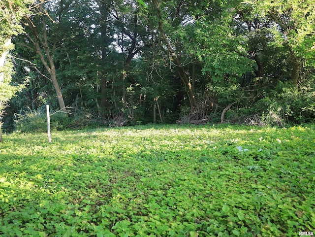 000 Scout Camp Rd, Stockton, IL 61085 - photo 42