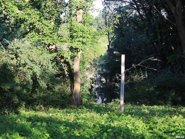 000 Scout Camp Rd, Stockton, IL 61085 - photo 43