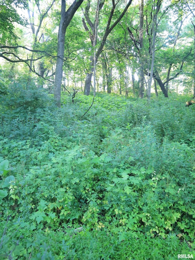000 Scout Camp Rd, Stockton, IL 61085 - photo 58