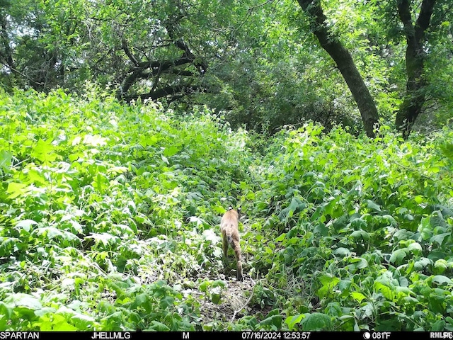 000 Scout Camp Rd, Stockton, IL 61085 - photo 60