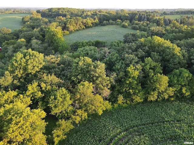 000 Scout Camp Rd, Stockton, IL 61085 - photo 7