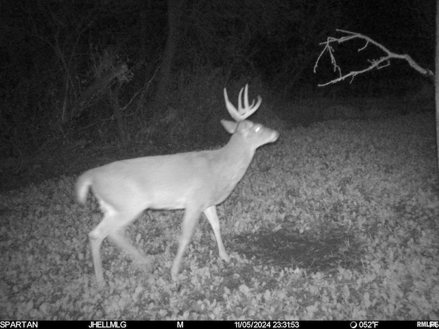 000 Scout Camp Rd, Stockton, IL 61085 - photo 61