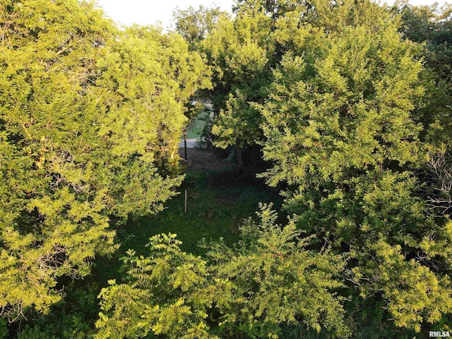 000 Scout Camp Rd, Stockton, IL 61085 - photo 8