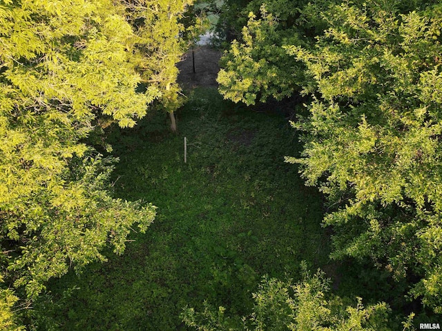 000 Scout Camp Rd, Stockton, IL 61085 - photo 9